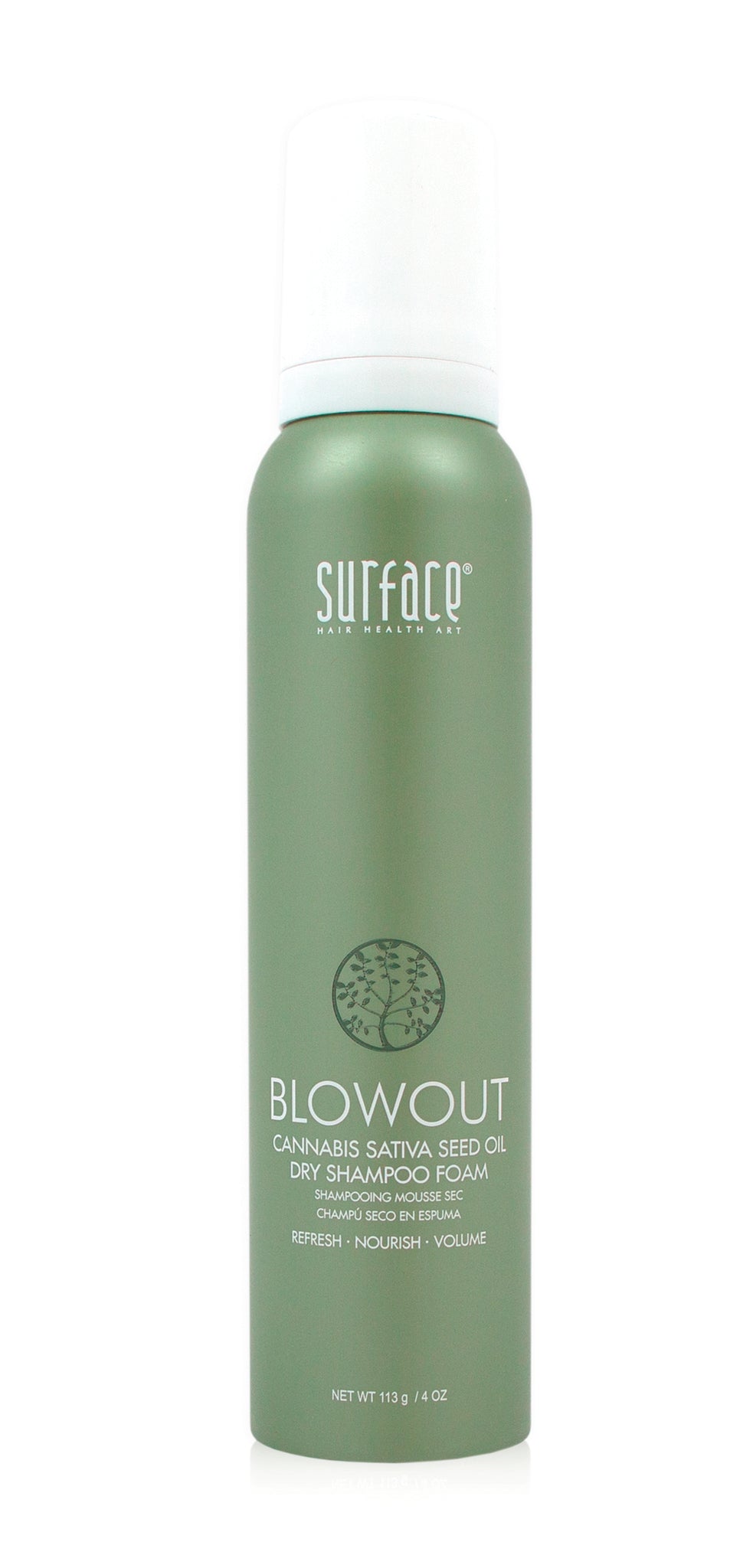 Blowout Dry Shampoo Foam